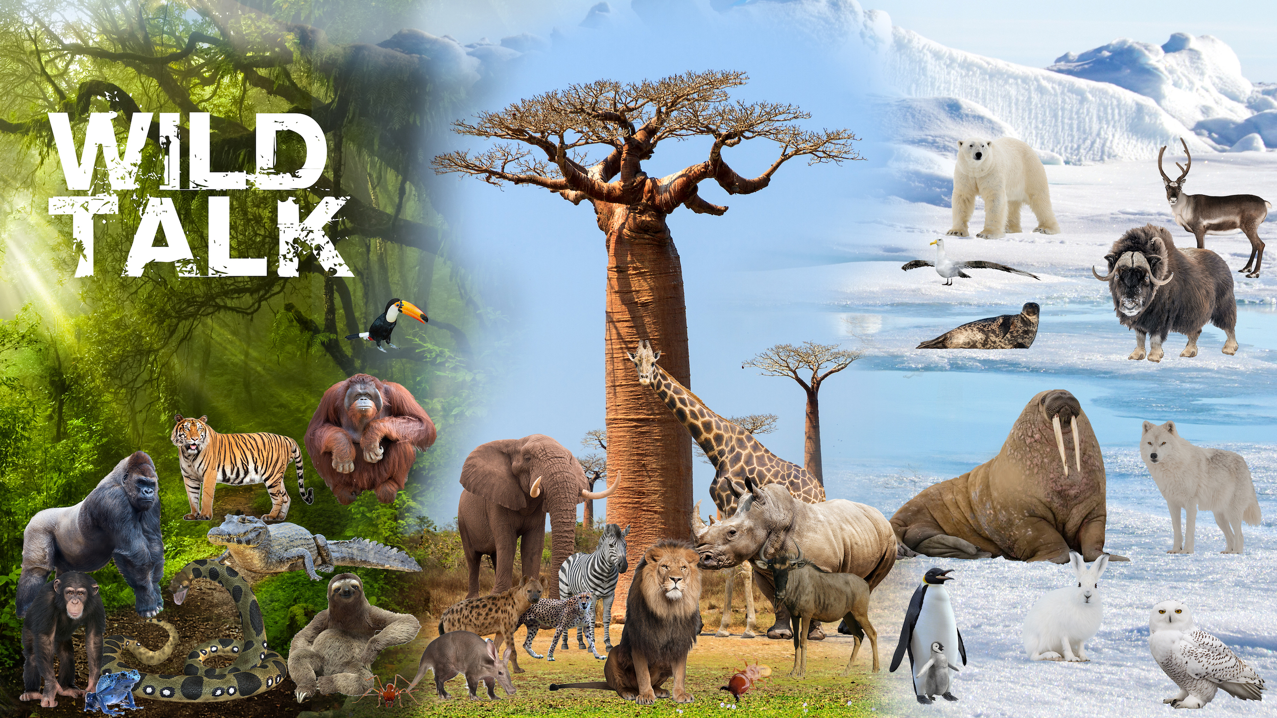 WILD%20TALK%20 %20Front%20cover