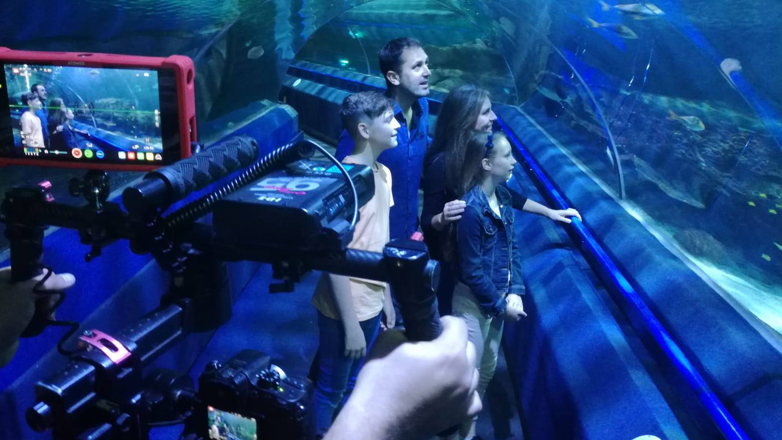 video production gizmo media blue planet aquarium cheshire